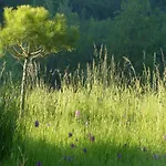La Ferme Des Paons By Interhome Дом отдыха *