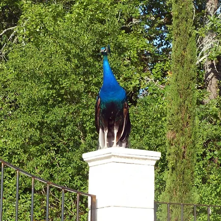 La Ferme Des Paons By Interhome * Montagudet