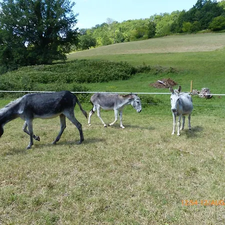 La Ferme Des Paons By Interhome Hébergement de vacances Montagudet