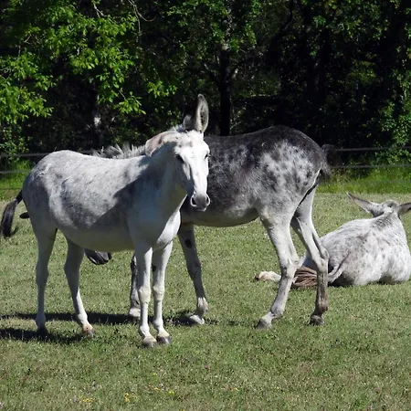 La Ferme Des Paons By Interhome *