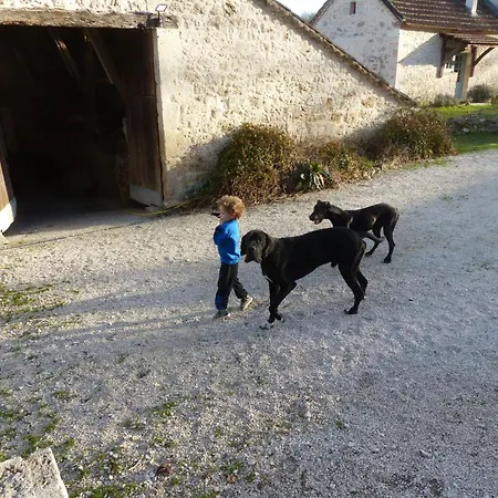 La Ferme Des Paons By Interhome Hébergement de vacances Montagudet