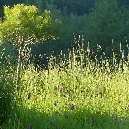 La Ferme Des Paons By Interhome Hébergement de vacances *
