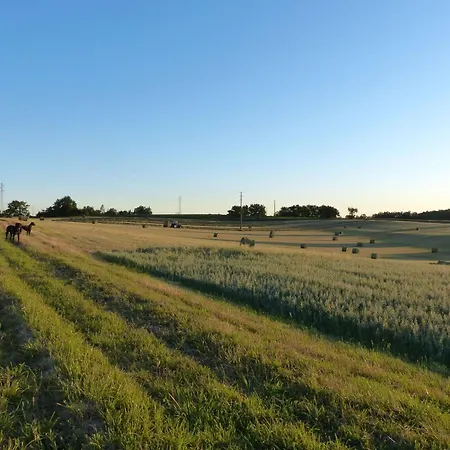 Hébergement de vacances La Ferme Des Paons By Interhome *