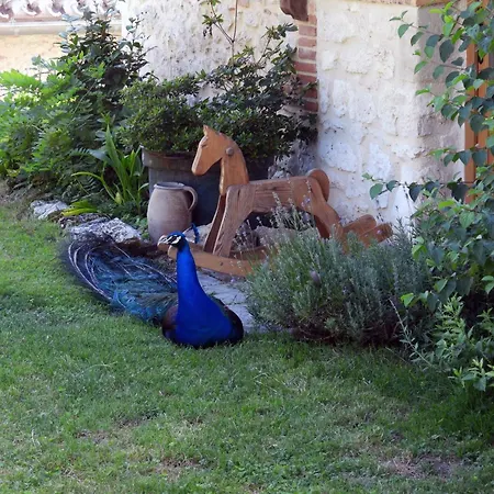 La Ferme Des Paons By Interhome Hébergement de vacances