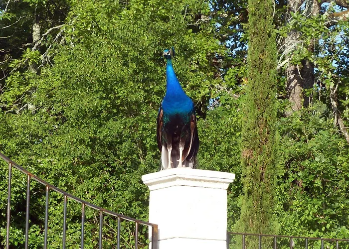 La Ferme Des Paons By Interhome * Montagudet