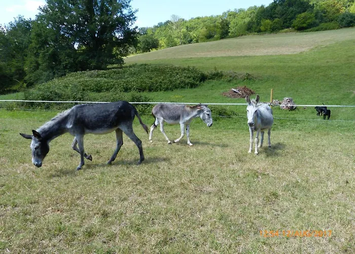 La Ferme Des Paons By Interhome Holiday home Montagudet