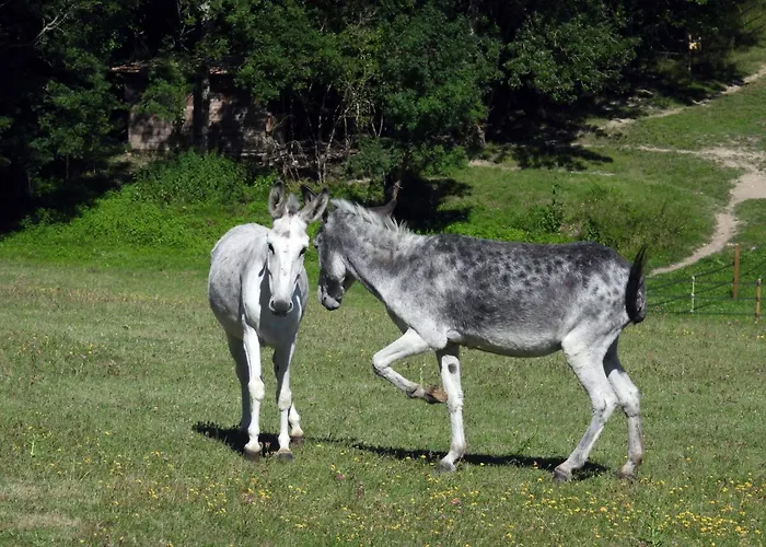 La Ferme Des Paons By Interhome بيت للعطل