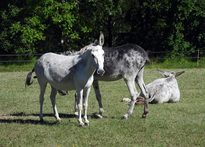 La Ferme Des Paons By Interhome *