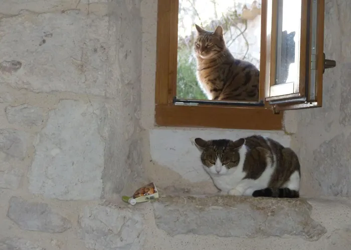 La Ferme Des Paons By Interhome Holiday home Montagudet