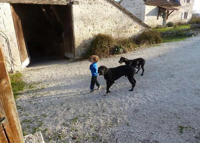 La Ferme Des Paons By Interhome Holiday home Montagudet