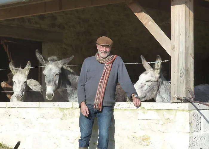 La Ferme Des Paons By Interhome Montagudet