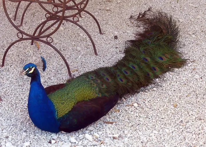 La Ferme Des Paons By Interhome *