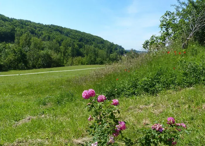 La Ferme Des Paons By Interhome Holiday home *