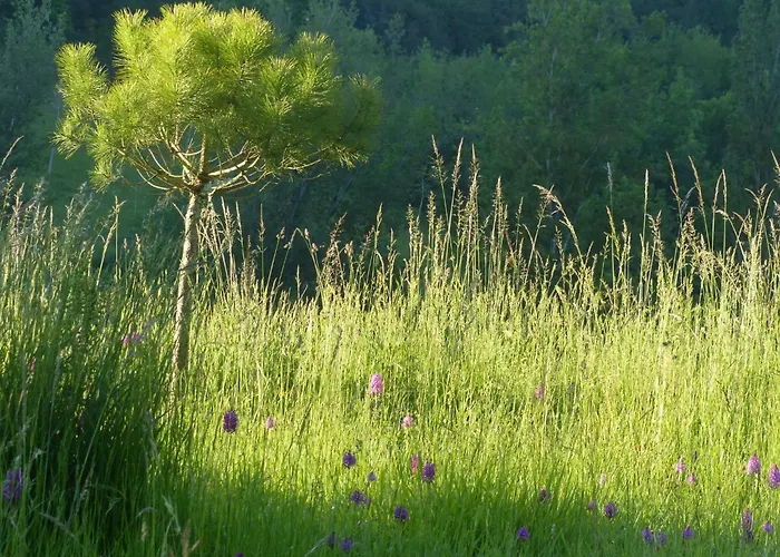 La Ferme Des Paons By Interhome Holiday home *