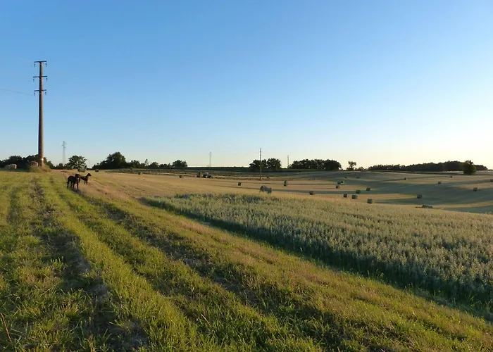 بيت للعطل La Ferme Des Paons By Interhome *