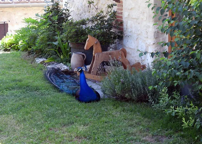 La Ferme Des Paons By Interhome * Montagudet